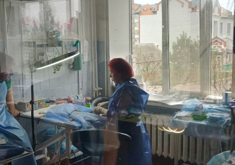 Охтирська міськрада виділила 200 тисяч на стерилізацію вуличних собак