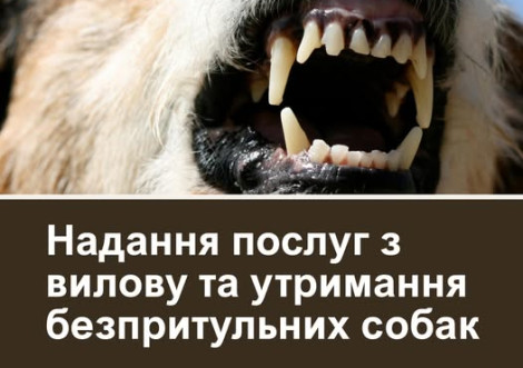 Вилов небезпечних безпритульних собак
